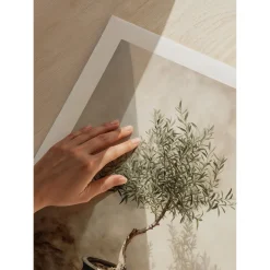 Olive Tree Mediterranean No1*Gallerix Outlet