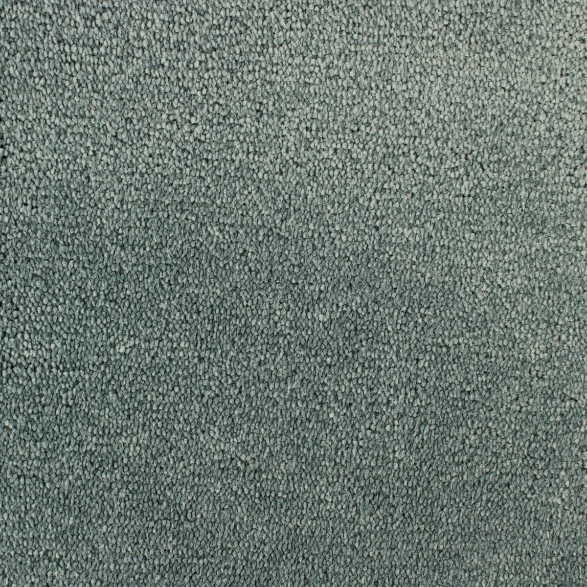 Palace*Fibertrone New