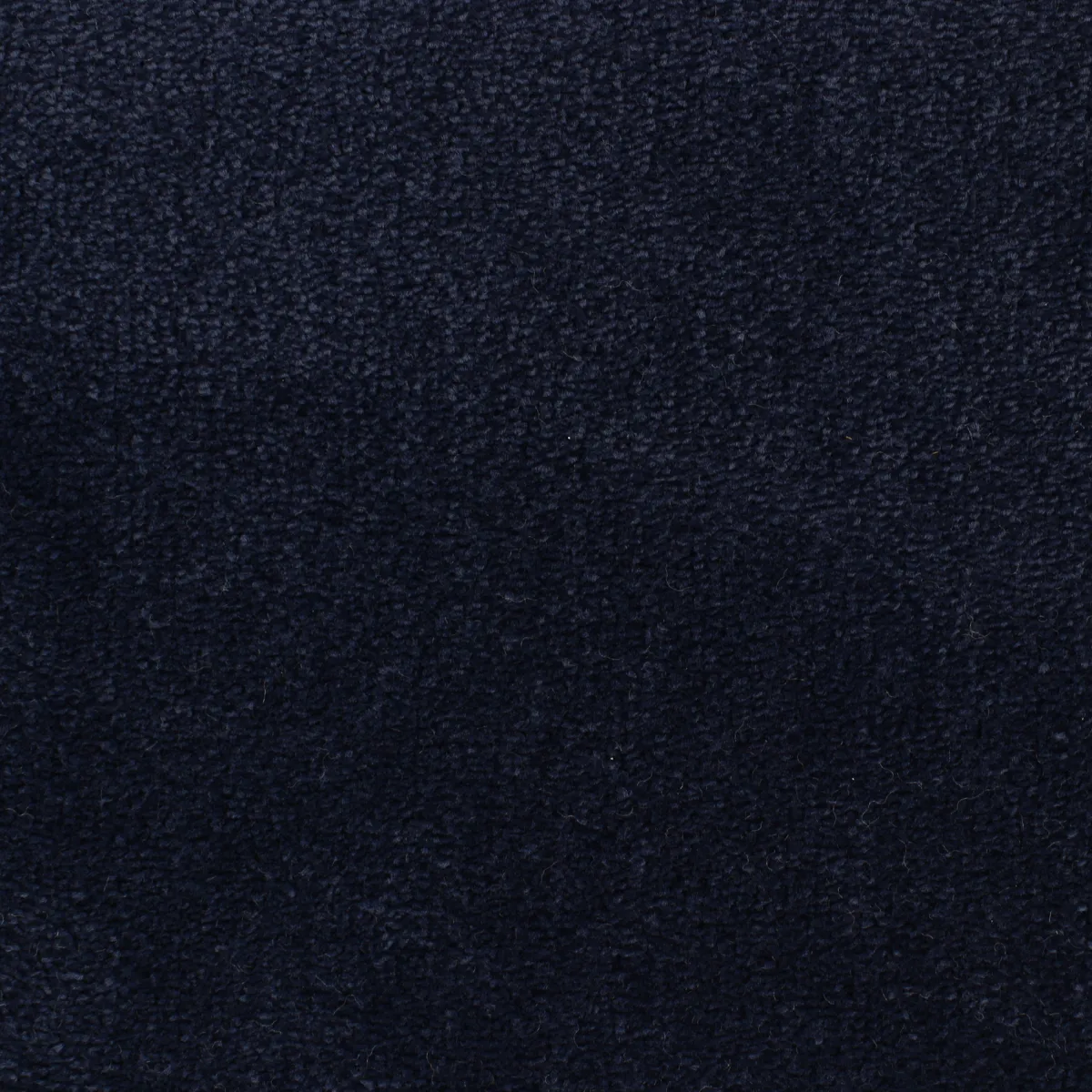 Palace*Fibertrone New