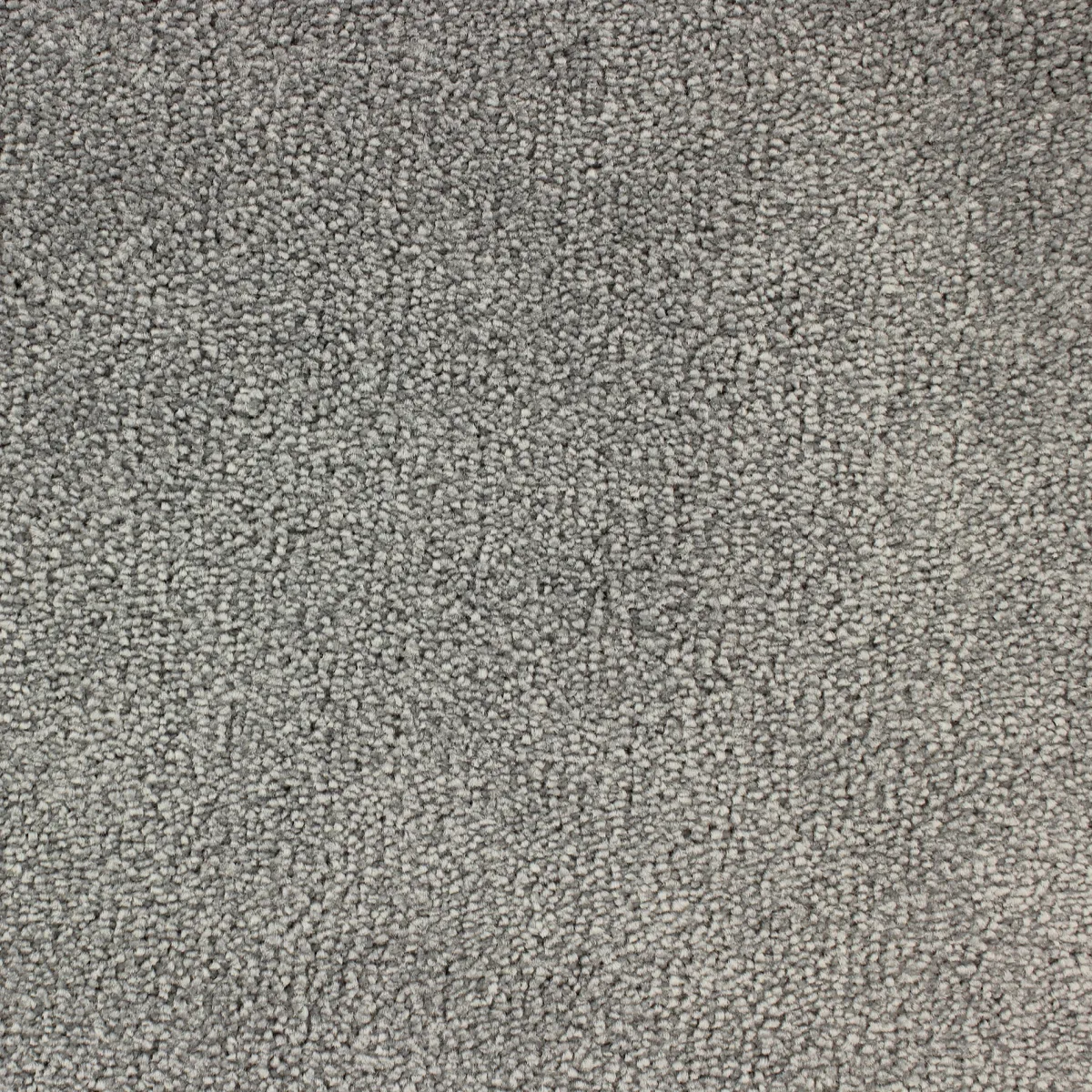 Palace*Fibertrone New