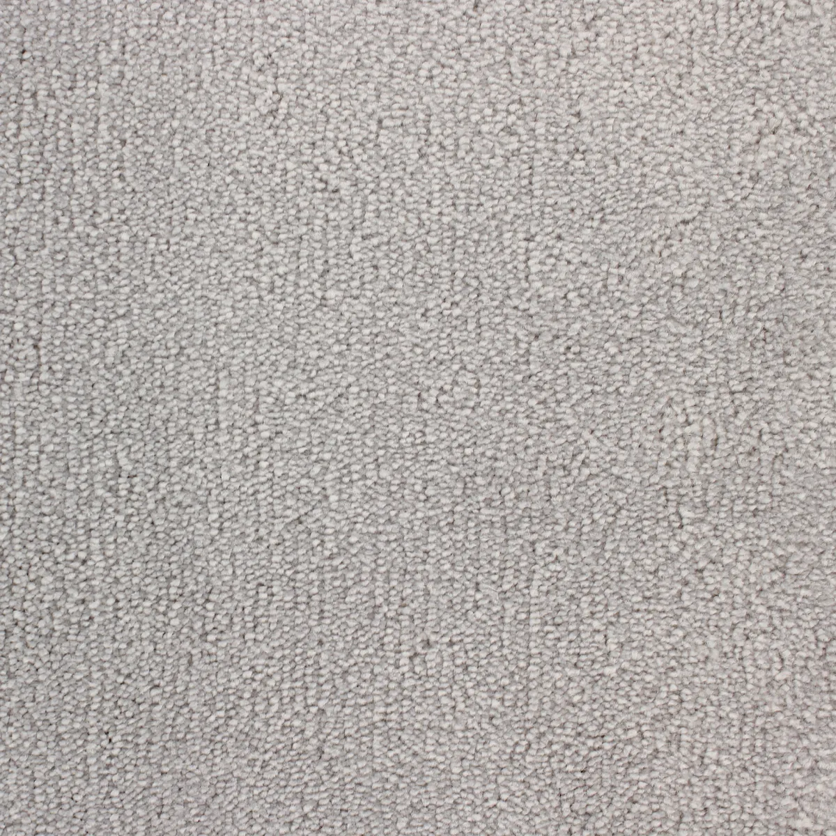 Palace*Fibertrone New