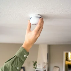 Pebble Mini*Housegard Sale