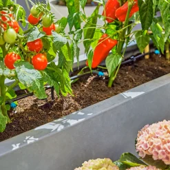Premiumpaket För Terrass med Vattenfördelare & Bevattningsdator*Gardena New