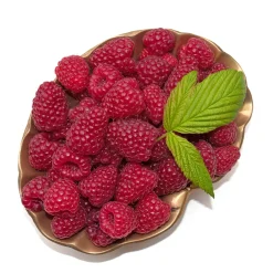 Rubus Autumn Bliss E*Omnia Garden Clearance