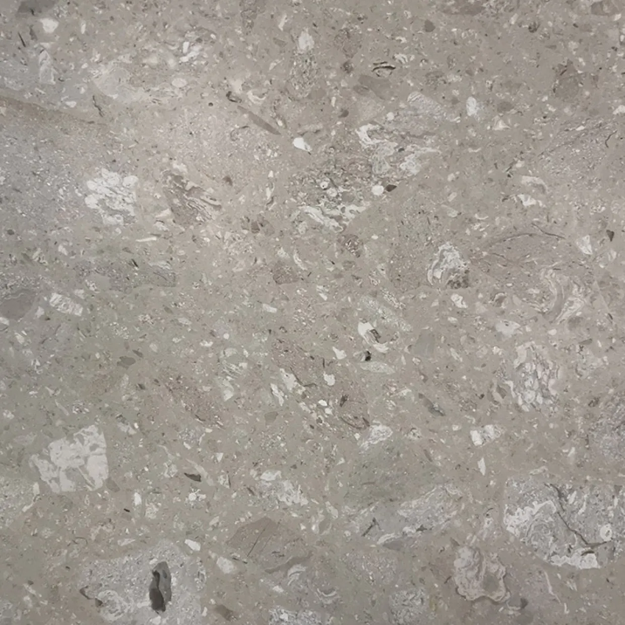 Terrazzo Perlato Royal Polerad 31x31 cm