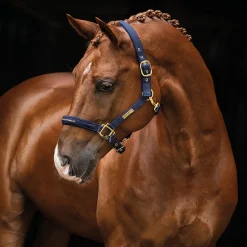 The Equestrian Life Ponny*HANSBO SPORT Discount