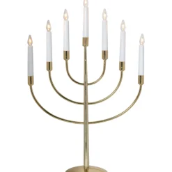 Titus*Star Trading New