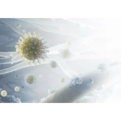 Ultrafine Particle Filter Pure 500*Electrolux Best