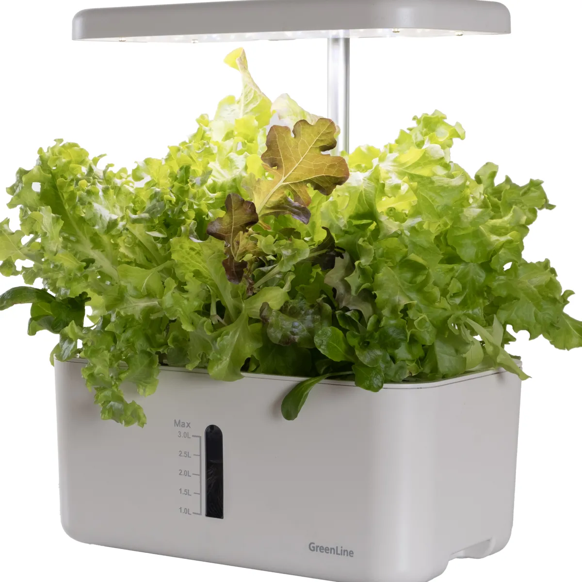 Urban Growing P8*GreenLine Outlet