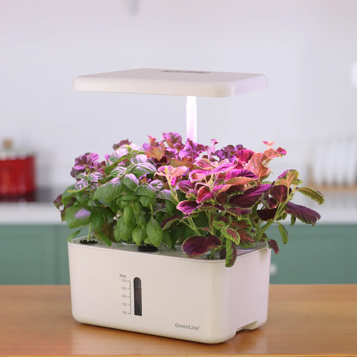 Urban Growing P8*GreenLine Outlet