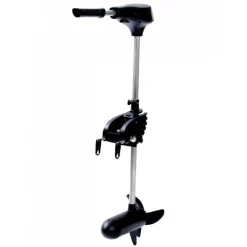 12V Saltvatten*GreatWhite Online