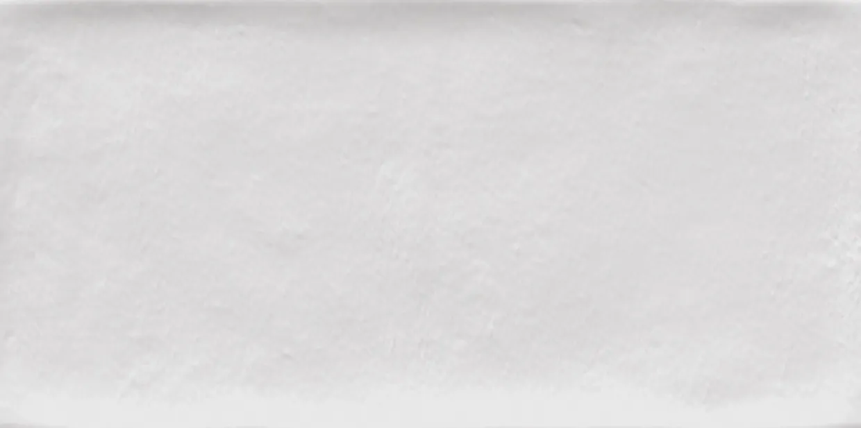 Vives Etnia Blanco 10x20
