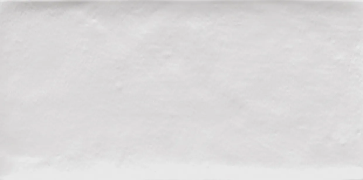 Vives Etnia Blanco 10x20