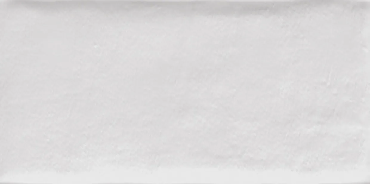 Vives Etnia Blanco 10x20