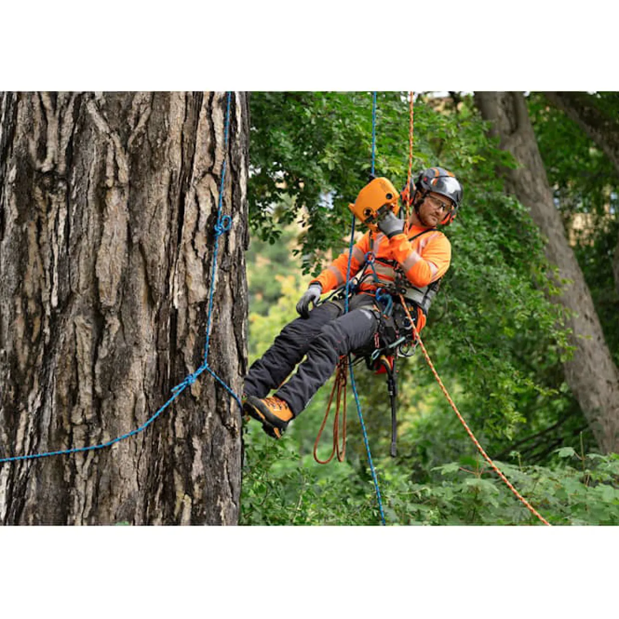 X Skylotec Power Ascender