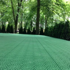 XL Spring Grass*Bergo